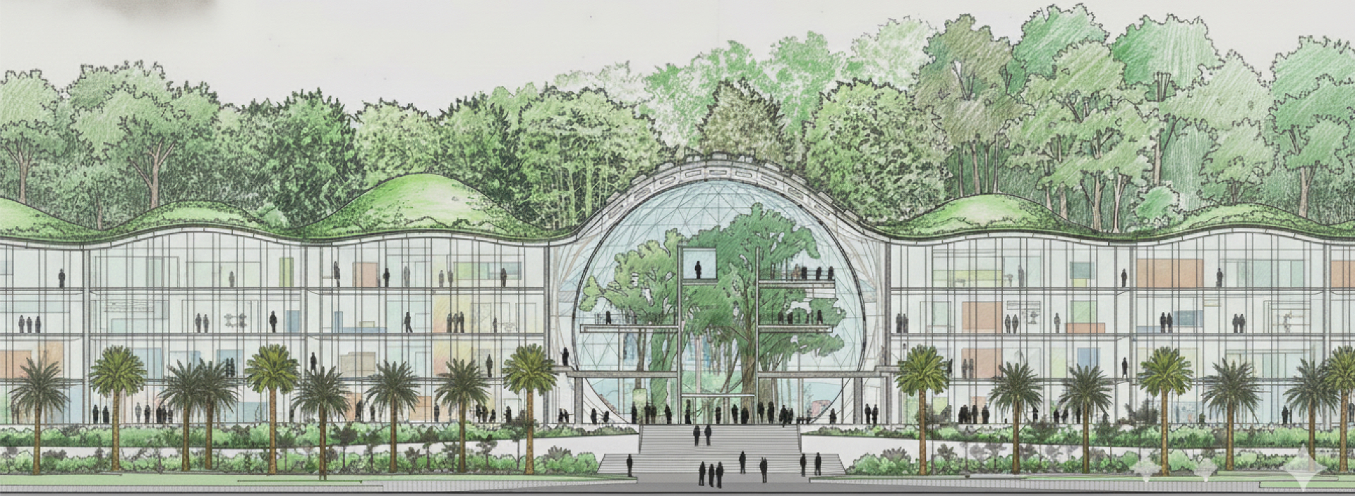 Climate Future Institute - A Vision for Washington Park